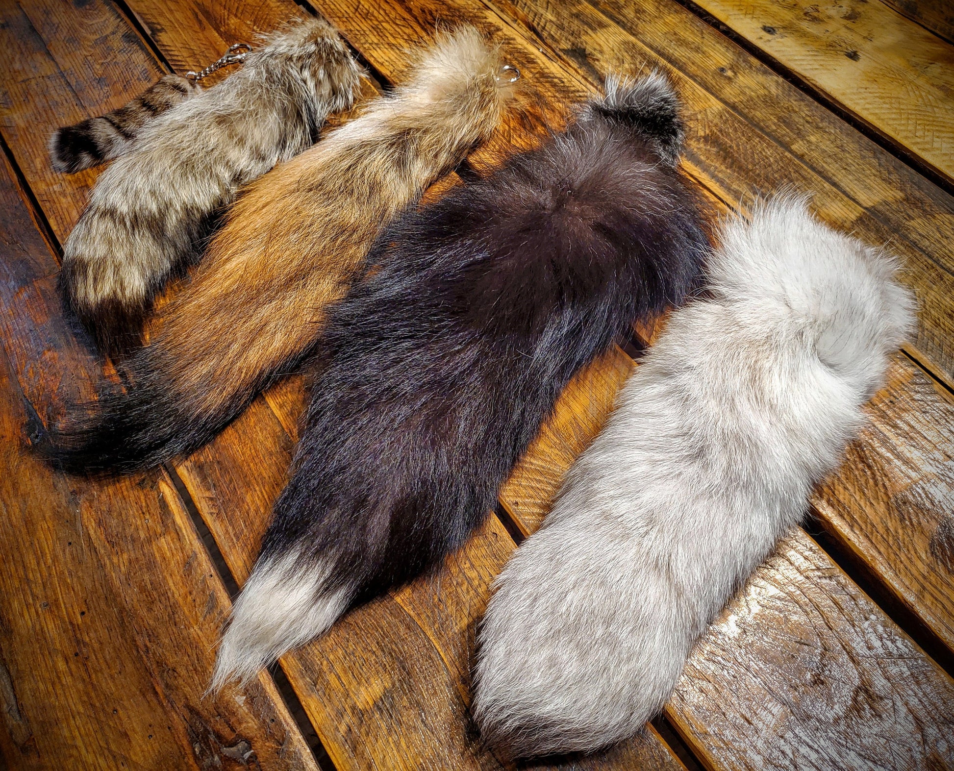 Genuine Bobcat, Coyote, & Fox Tail Keychain Purse / Bag Charms