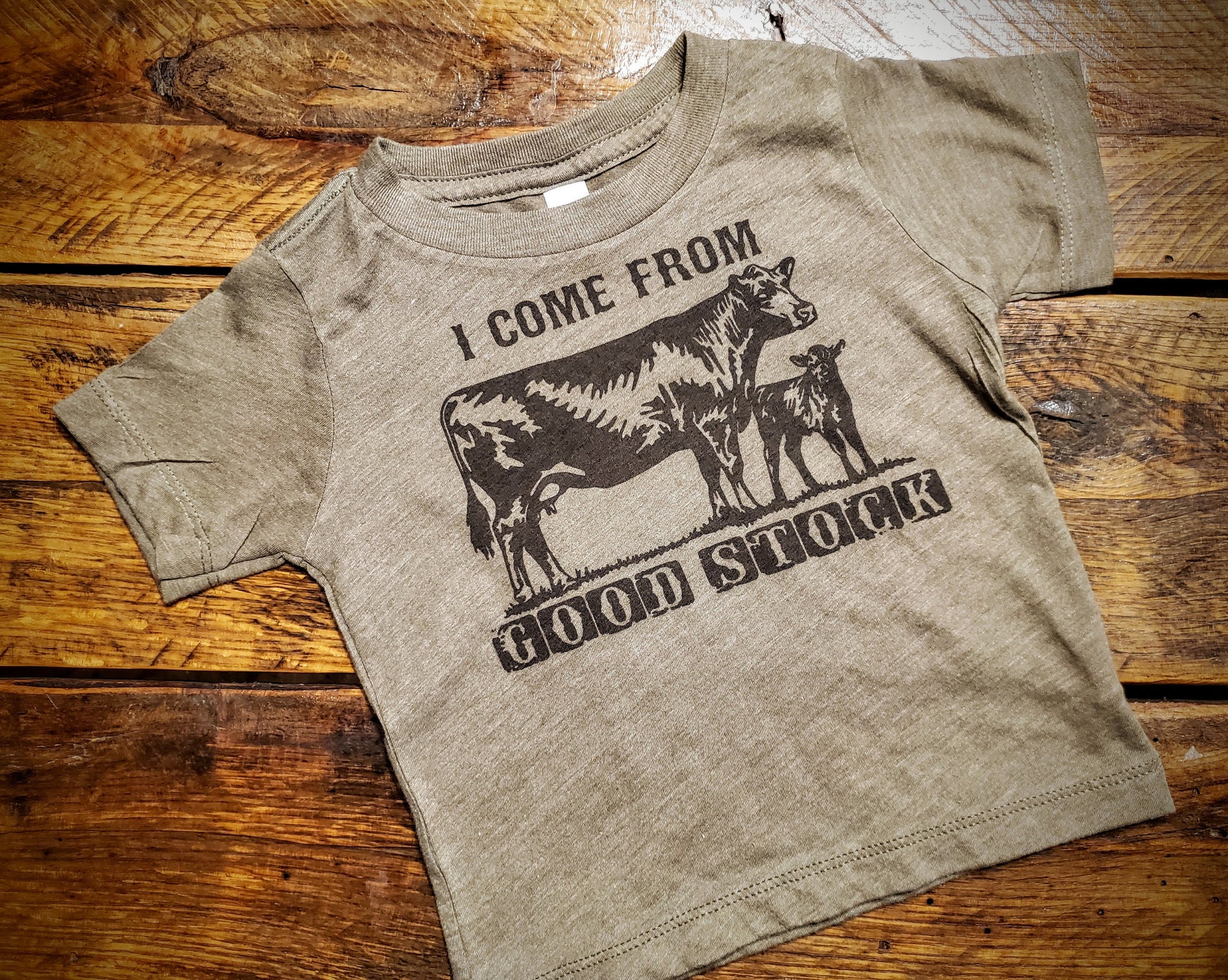 I Come From Good Stock - Premium Extra Soft Vintage Western Tee Shirt - Pick Your Color - Baby, Toddler, Youth, Adult Sizes