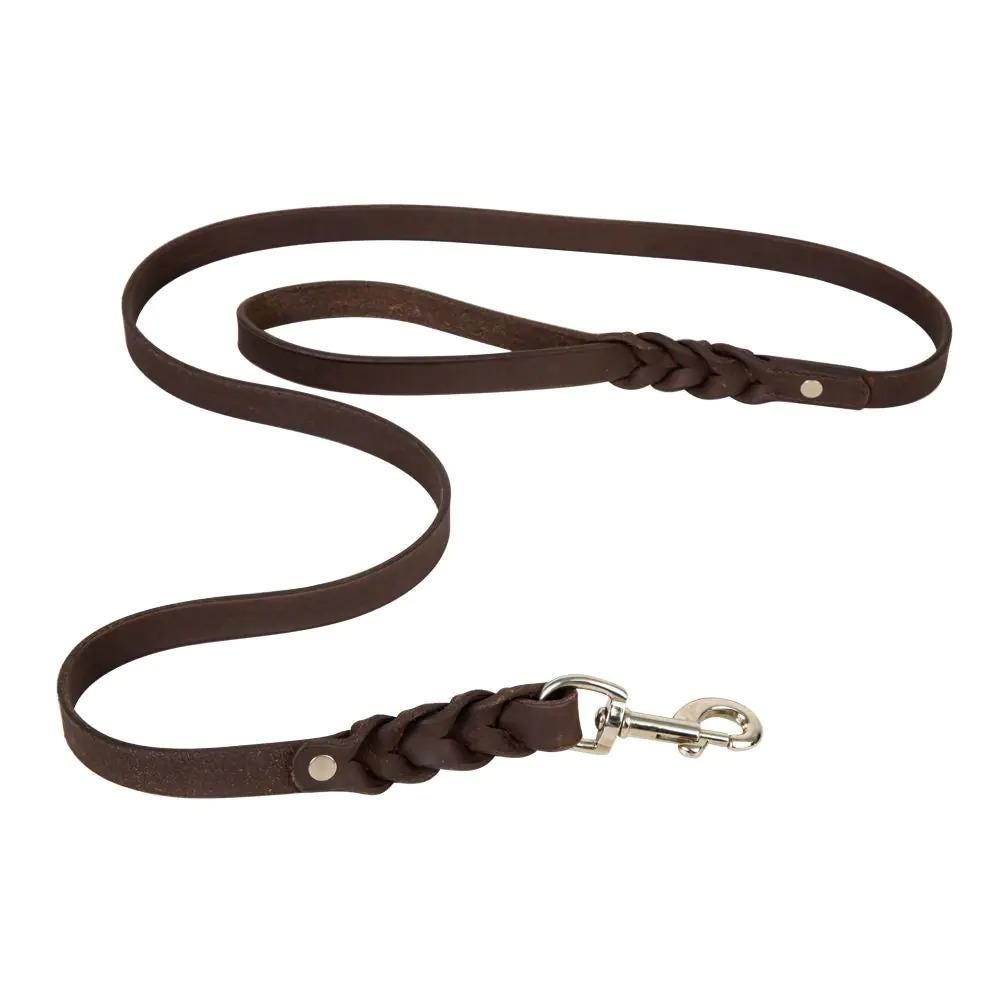 Solid Leather Braided Dog Leash with Snap - Unique Gift for Horse & Dog Lovers!